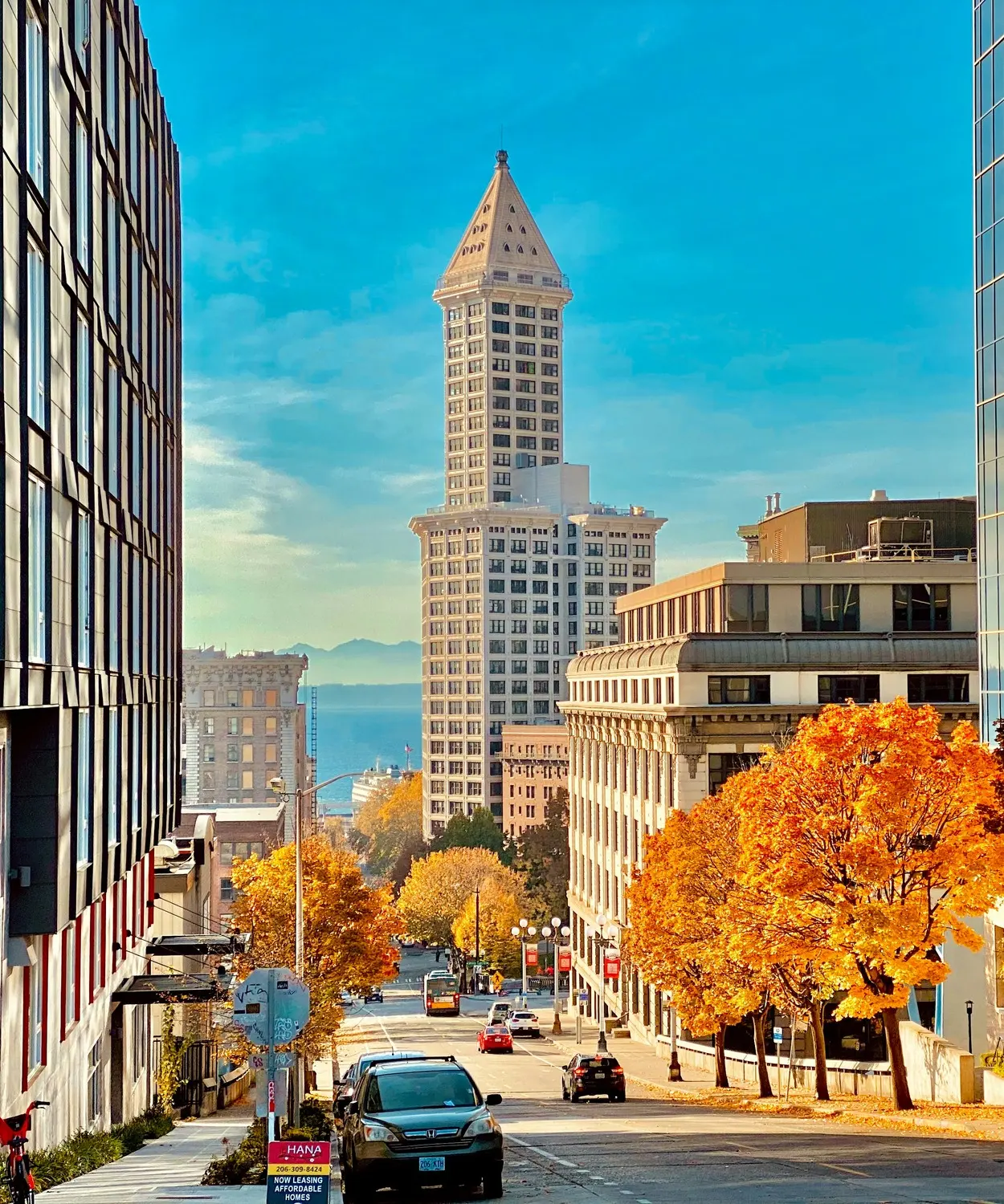 Smith Tower rising above Seattle's Pioneer Square, framed by autumn trees down a sloped street.